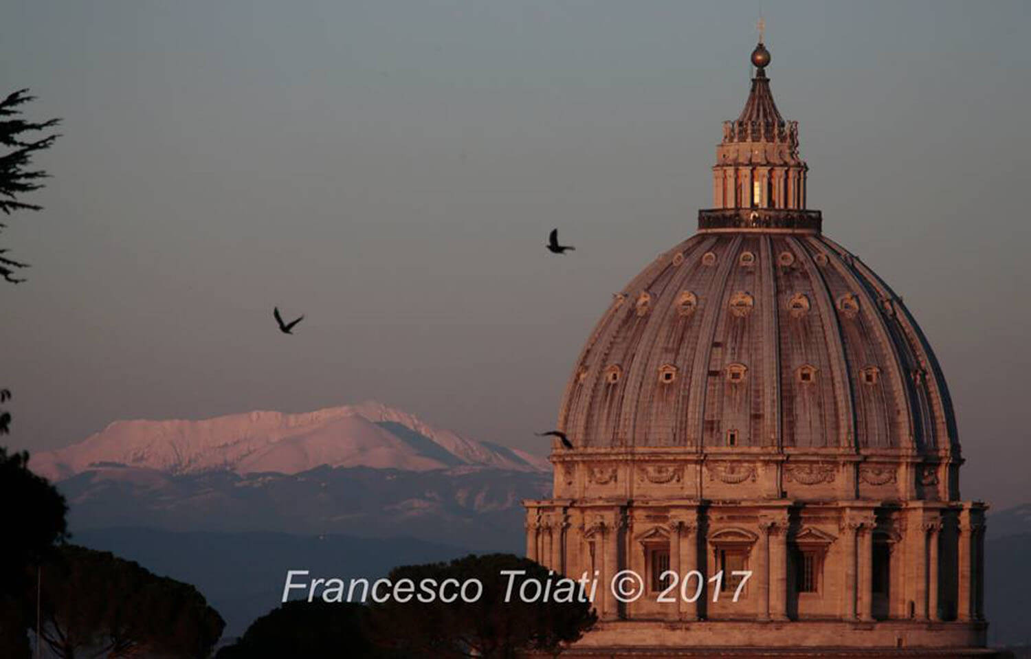 Chi siamo